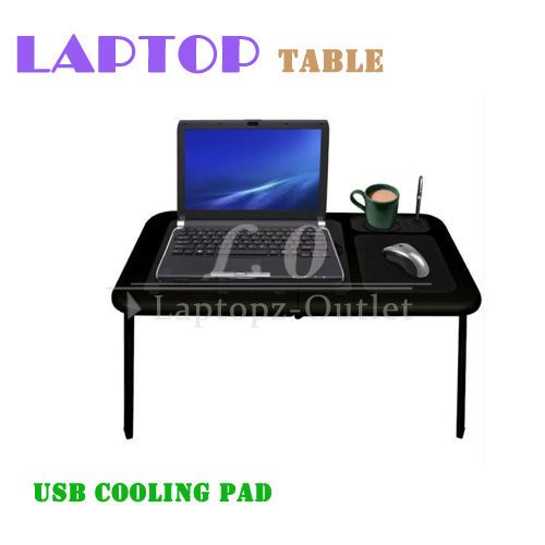 Laptop Buddy Portable WorkStation Table + USB DOLL HUB  