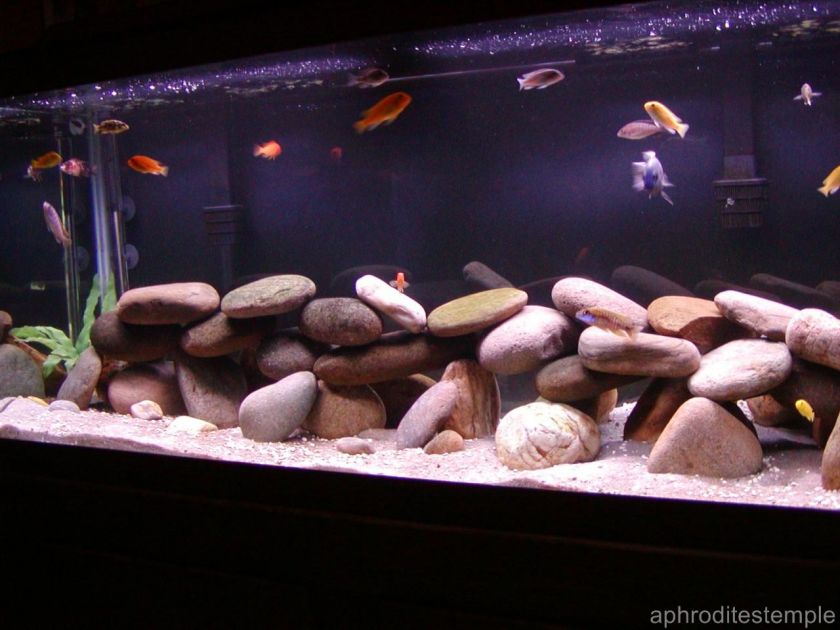 Extra Large 50 Gallon Natural Aquarium Cave Rock Decoration Aquascape 